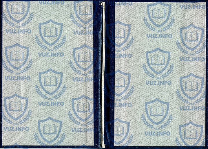 Диплом техникума, колледжа 2010 2009 2008 годов окончания - разворот обложки